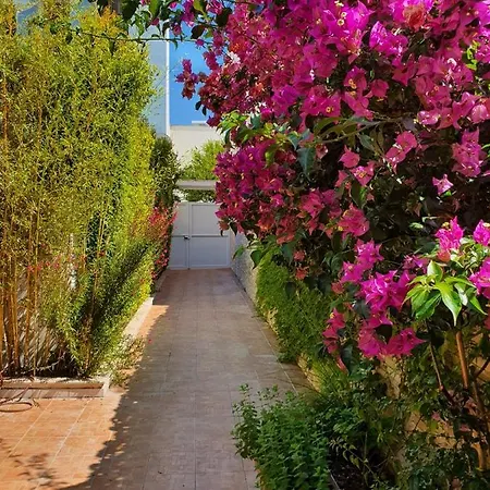Nel Cuore Di Campomarino * Campomarino (Taranto)